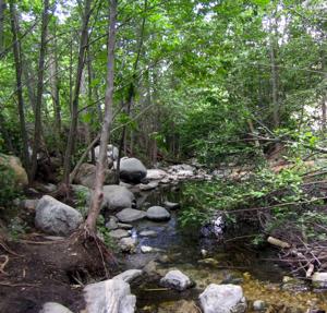 Hikers crossing the stream on the Eaton Canyon Trail
